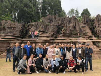 九游官网组织2019年度员工旅游活动